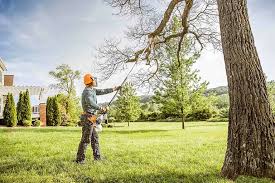 Leaf Removal in Dunkirk, NY